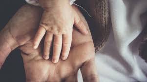 Зразок заяви про встановлення батьківства — юридична процедура